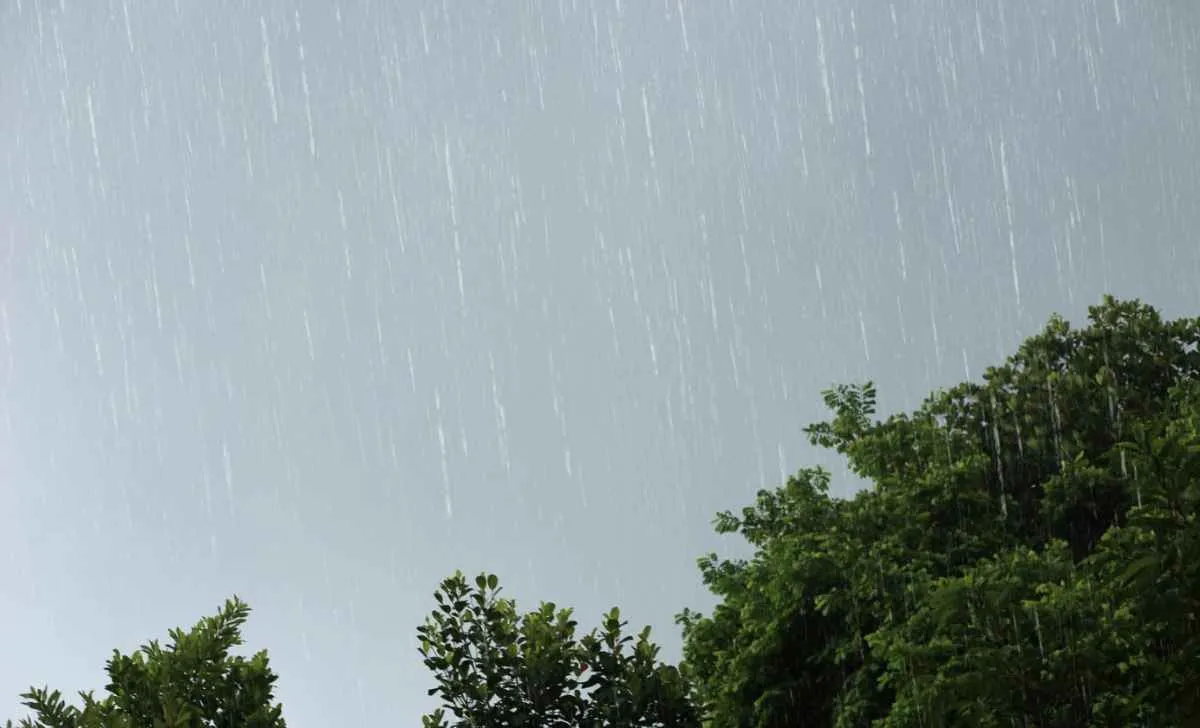 Previsão do tempo de sexta-feira alerta para chuva e ventos