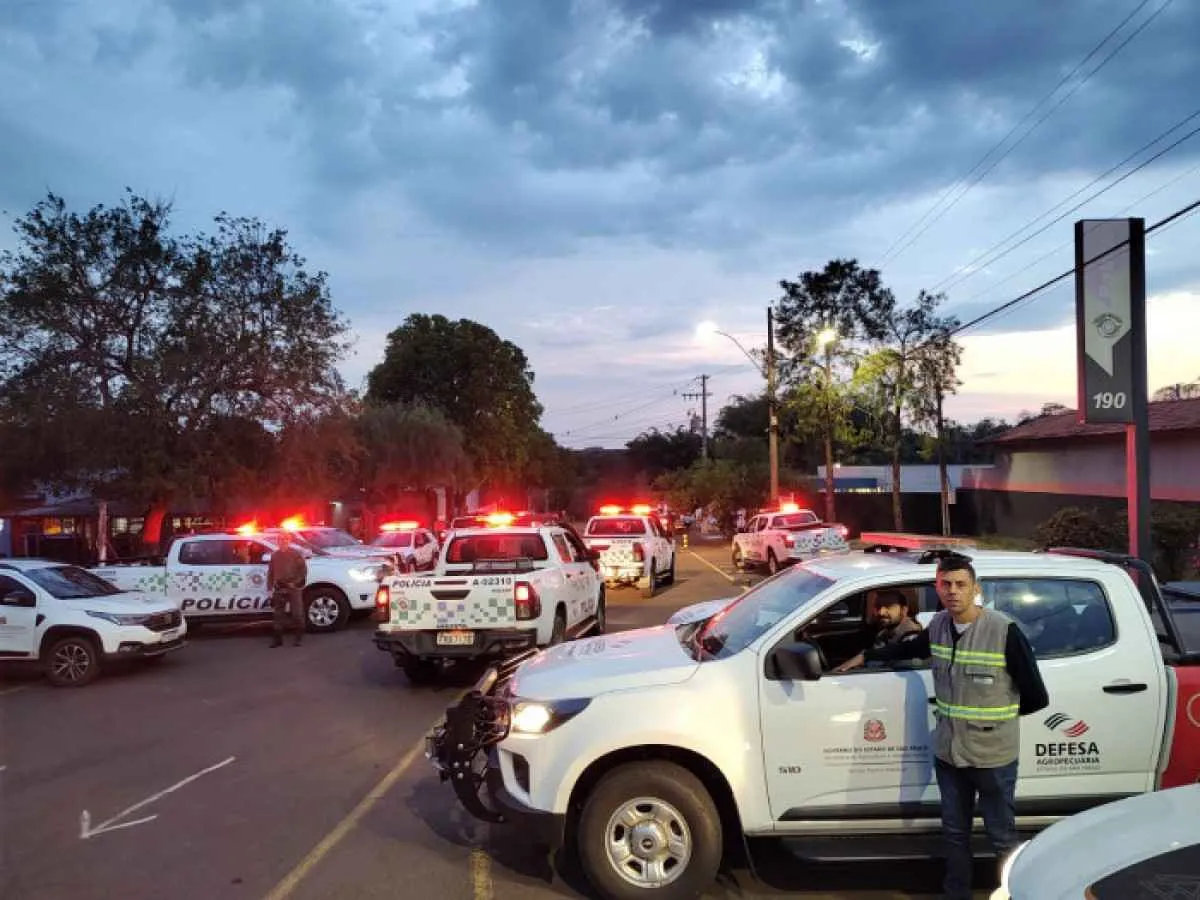Defesa Agropecuária combate adulteração de leite em operação no interior de SP