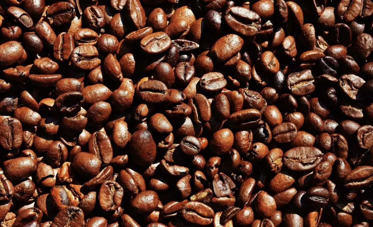 Tarifas dos EUA desafiam mercado de café e pressionam exportações brasileiras