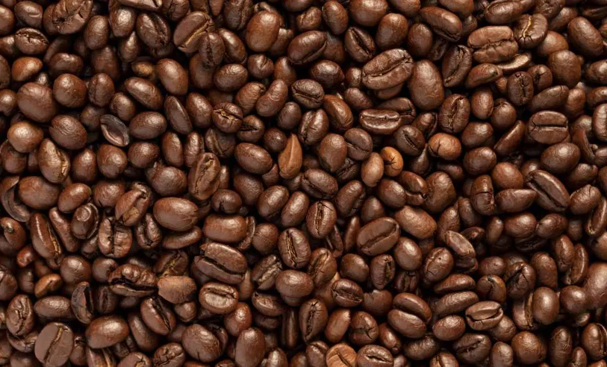 Preços do café elevam poder de compra do produtor