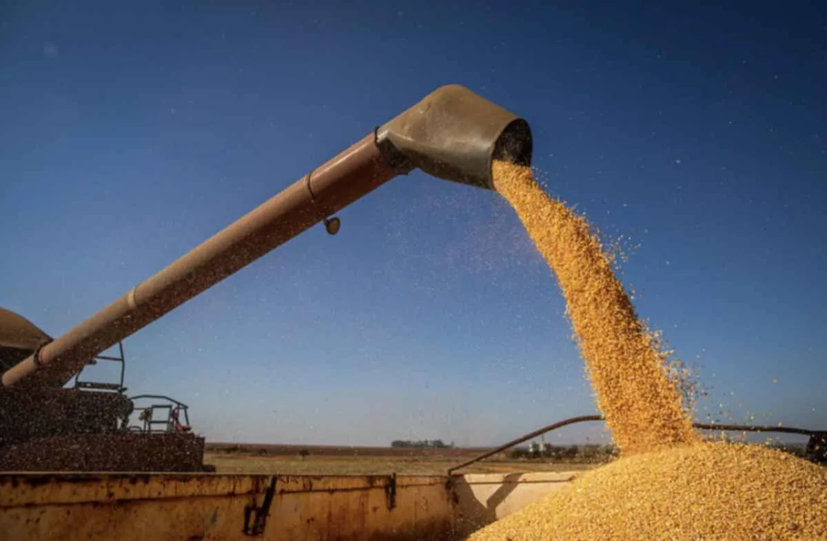 Produção de grãos bate recorde e PIB do agro cresce em 2025