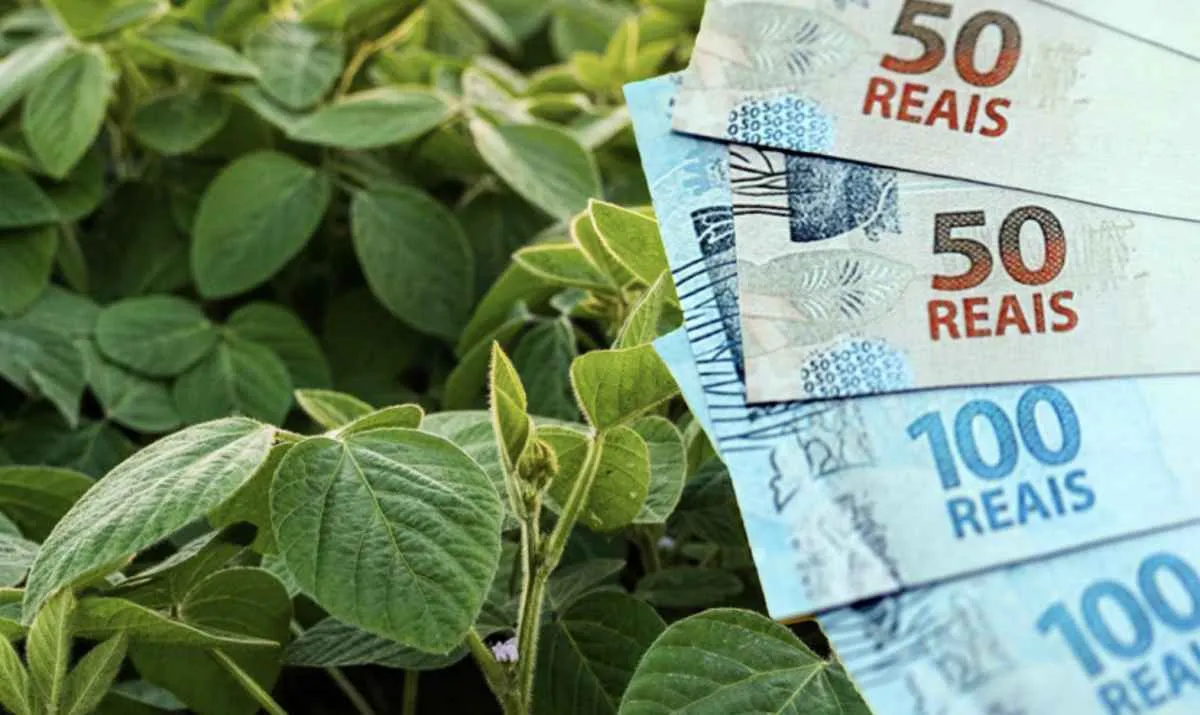 Sistema FAEP afirma que veto à MP 1.303 protege crédito aos produtores rurais