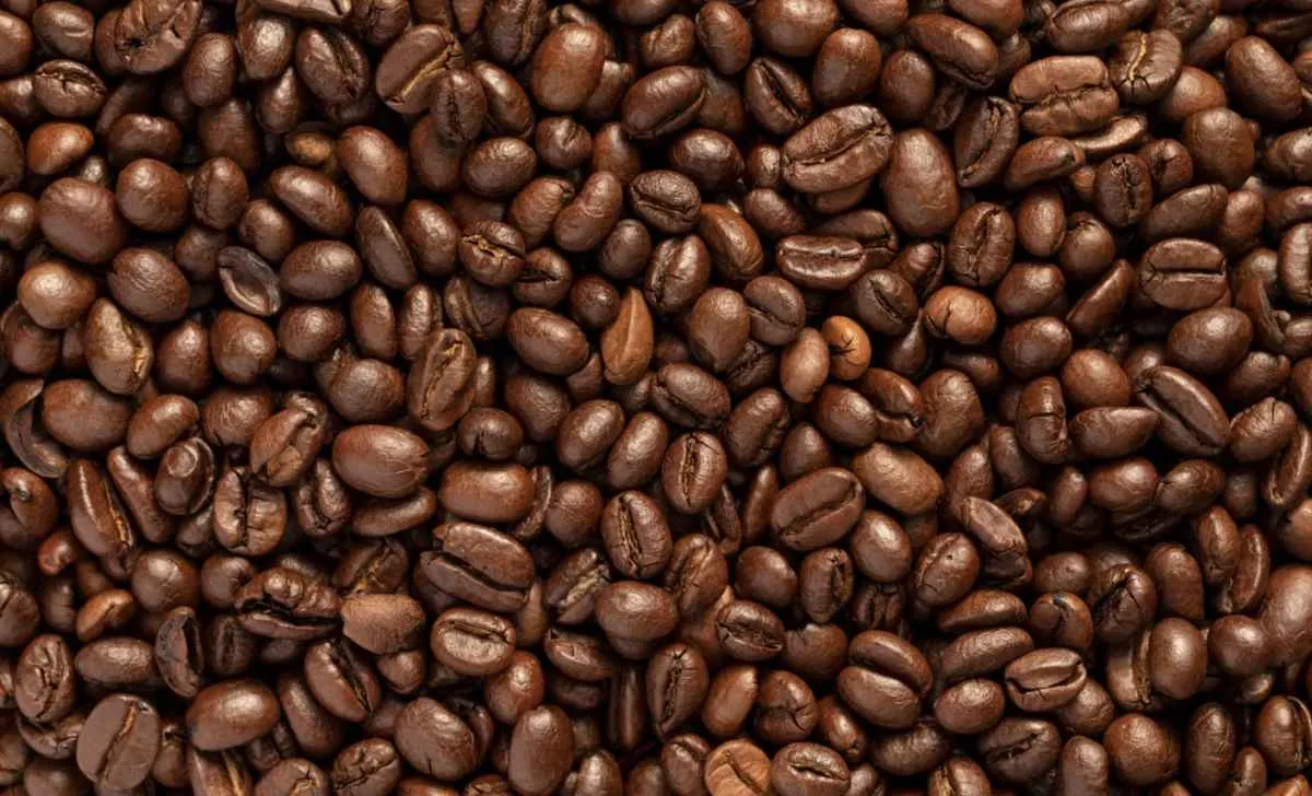 Exportação de café cai em volume, mas mantém alta na receita