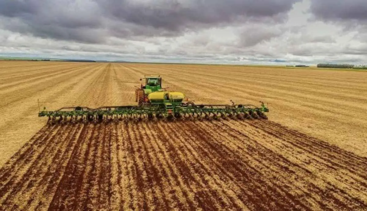 Plantio da soja em Goiás avança lentamente