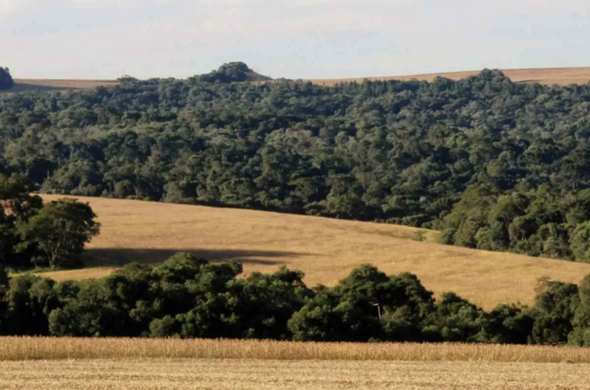 Produtor rural ganha até 50% de desconto em multas ambientais no Paraná