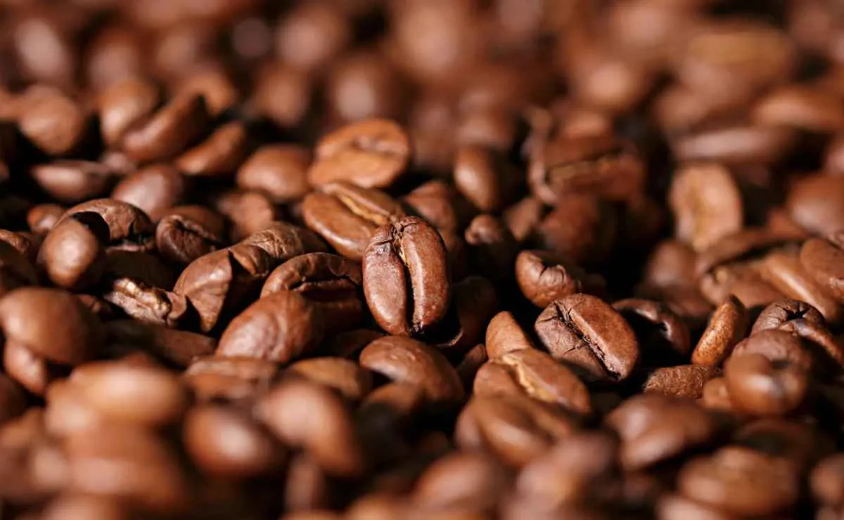 Preços do café registram forte oscilação em outubro