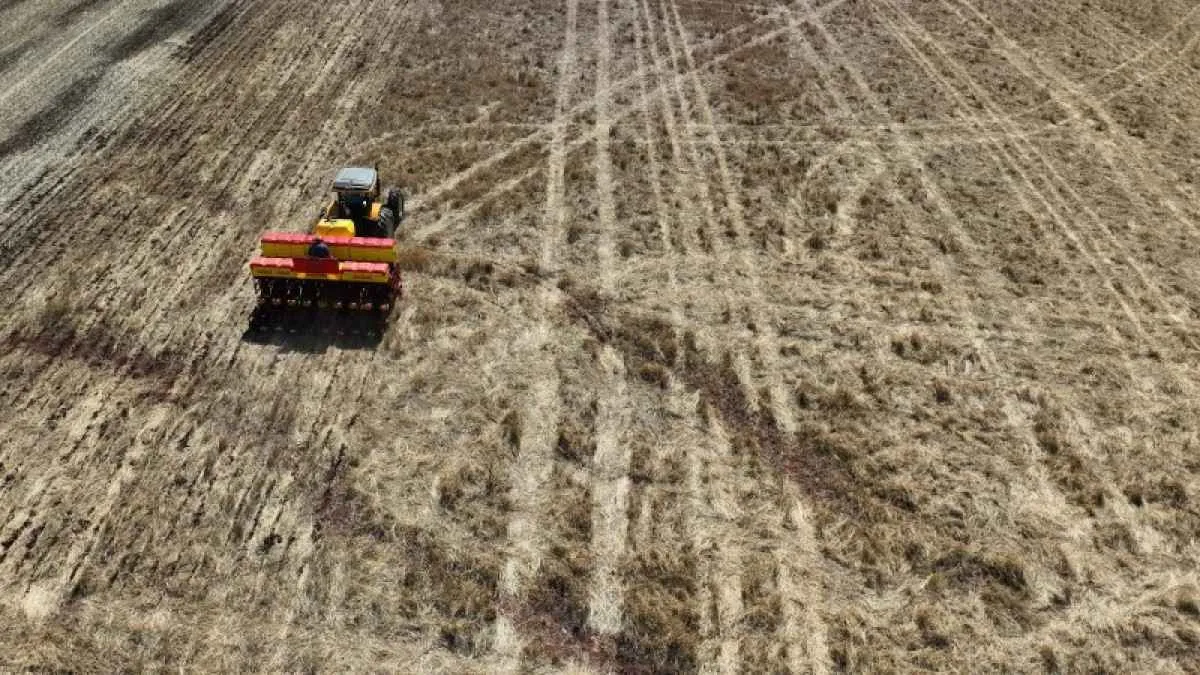 Aumento da área de soja em Goiás eleva safra 2025/26