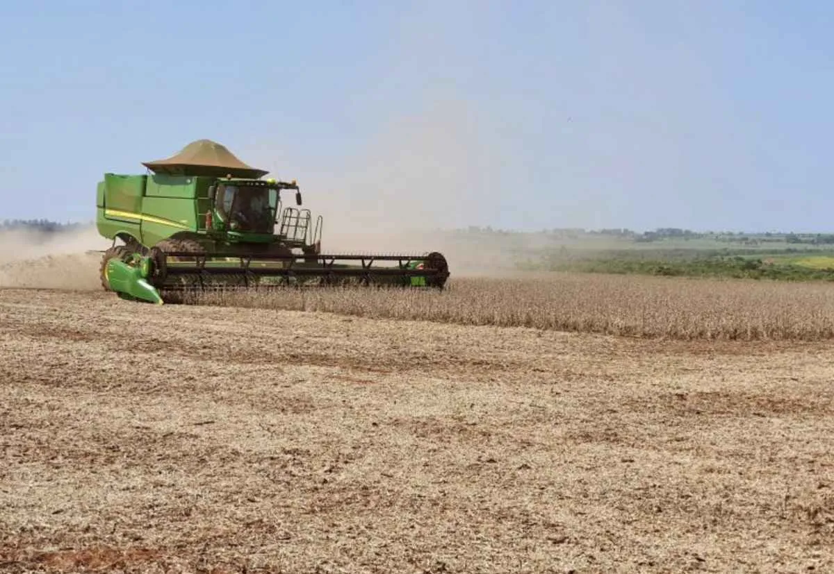 Crédito rural cai 53% em Mato Grosso do Sul em outubro