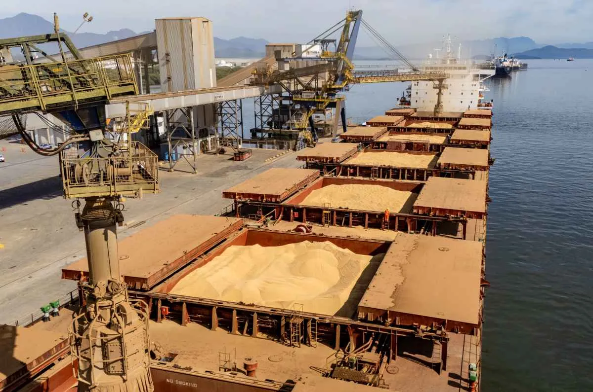 Soja impulsiona recorde nos portos do Paraná