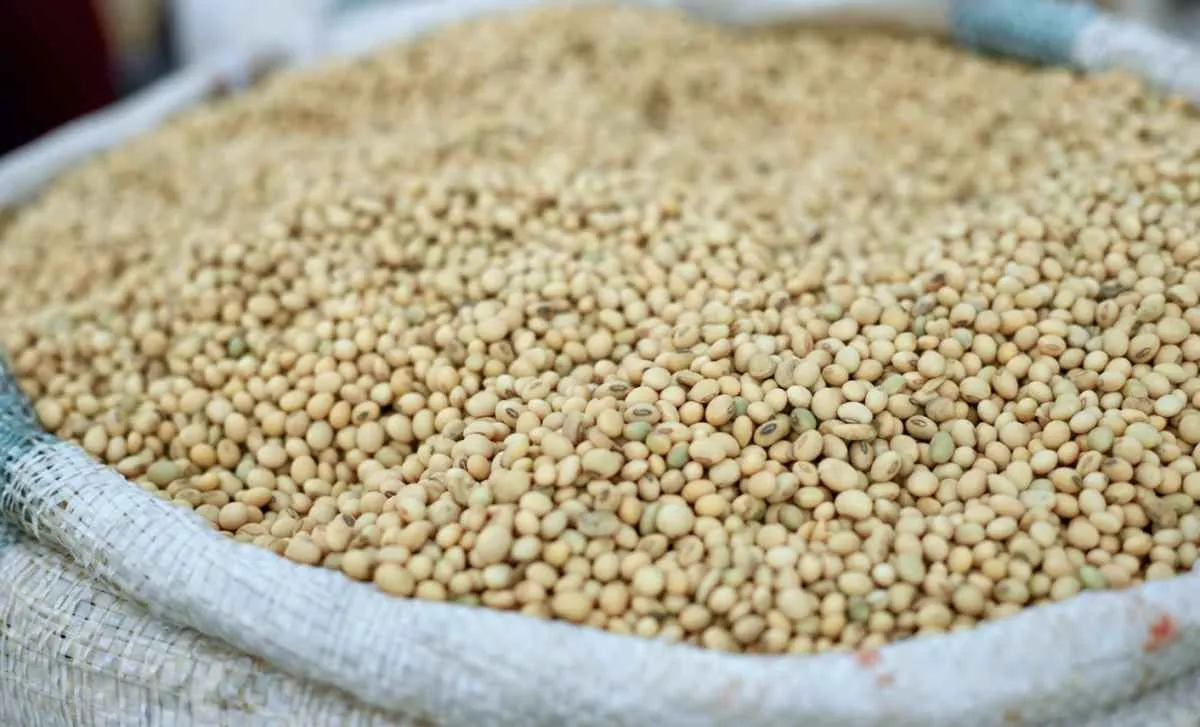 La Niña deve redesenhar cenário das commodities nos próximos meses