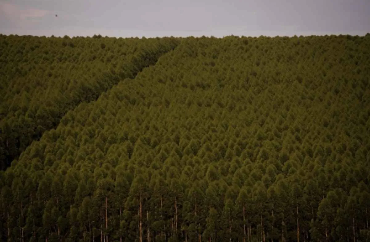 CNA apresenta ações sobre espécies exóticas invasoras em reunião