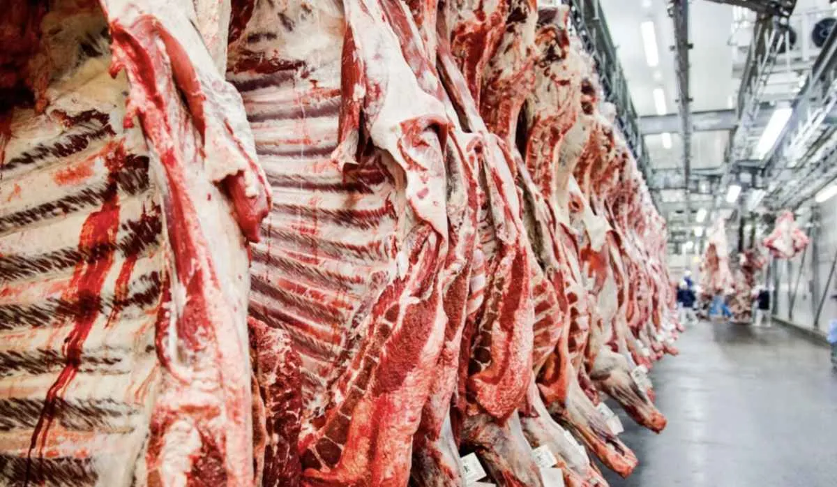 ABIEC comemora redução de tarifas dos EUA à carne bovina