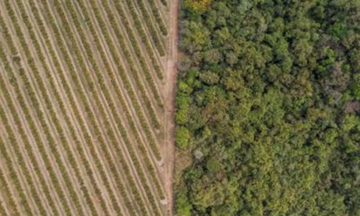 Citrosuco destaca soluções sustentáveis na COP30