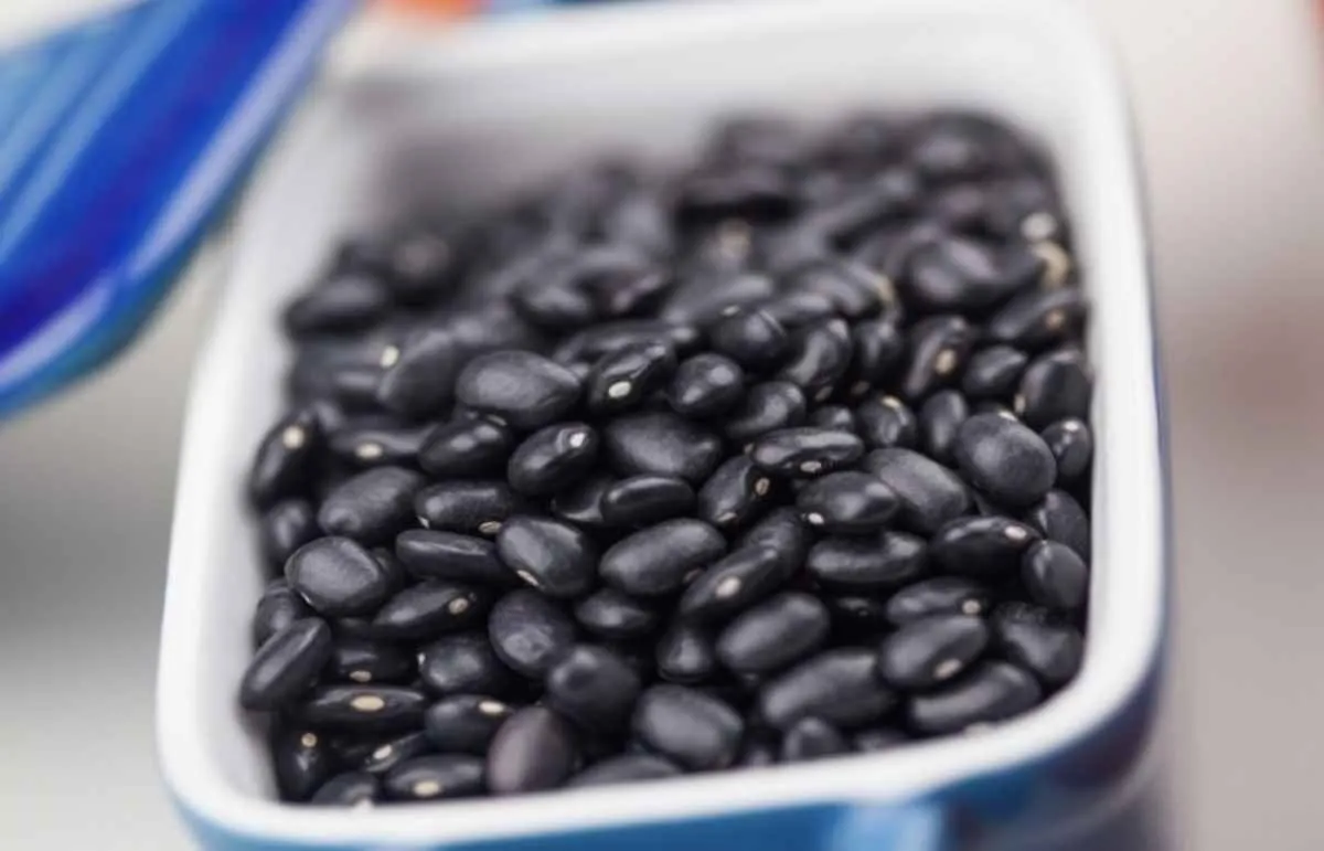 Exportações de feijão batem recordes e mercado segue estável
