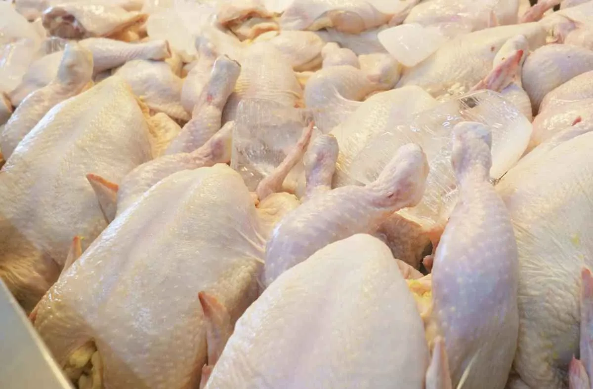 Carne de frango perde força mesmo com bom ritmo de vendas