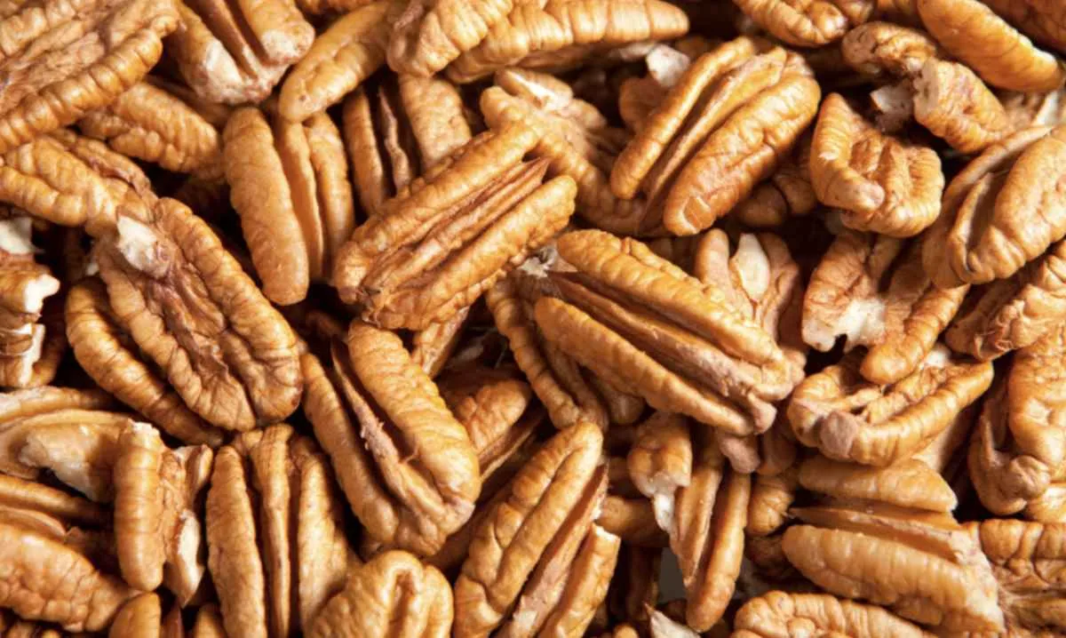 Brasil amplia exportações para Malásia e Coreia do Sul