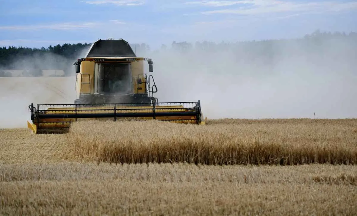 PIB do Rio Grande do Sul cresce 1,3% em 2023 impulsionado pelo agro
