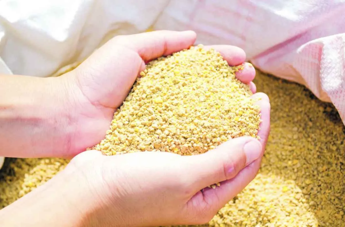 Exportação de farelo de soja é recorde na parcial do ano