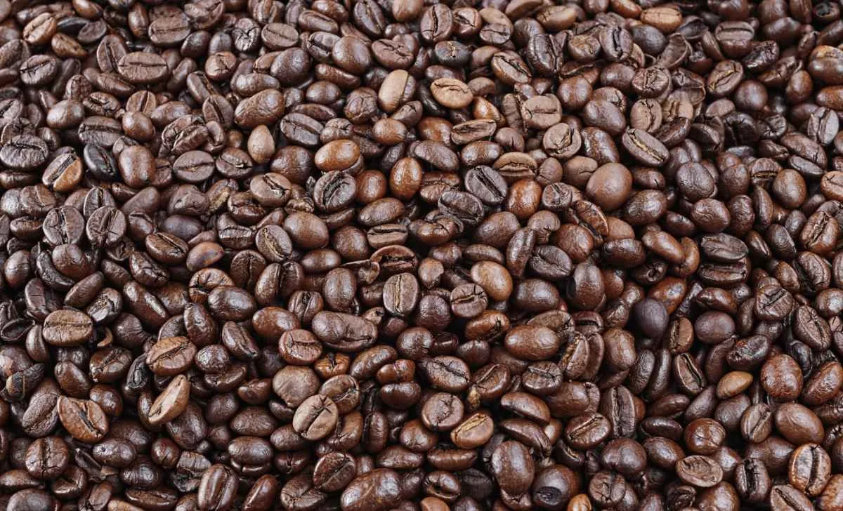Fim das tarifas dos EUA deve impactar mercado global de café