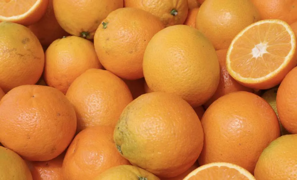 Preços da laranja caem no Brasil com menor demanda externa