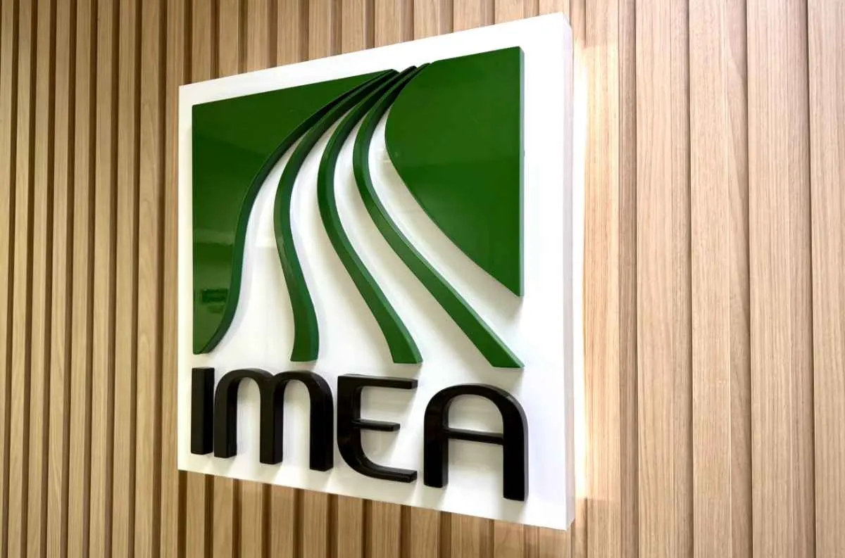 Impacto das demarcações em MT preocupa setor com prejuízo anual estimado pelo Imea