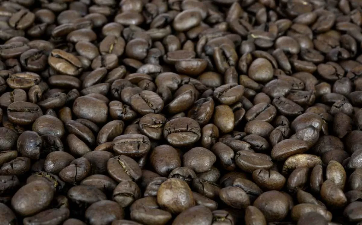 Manutenção de tarifas pelos EUA mantém pressão sobre o café brasileiro