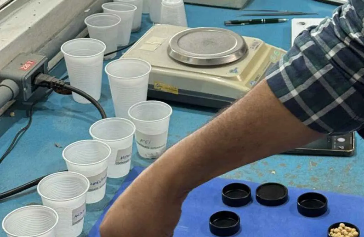 FAEP e CNA testam tecnologia automática para classificar grãos