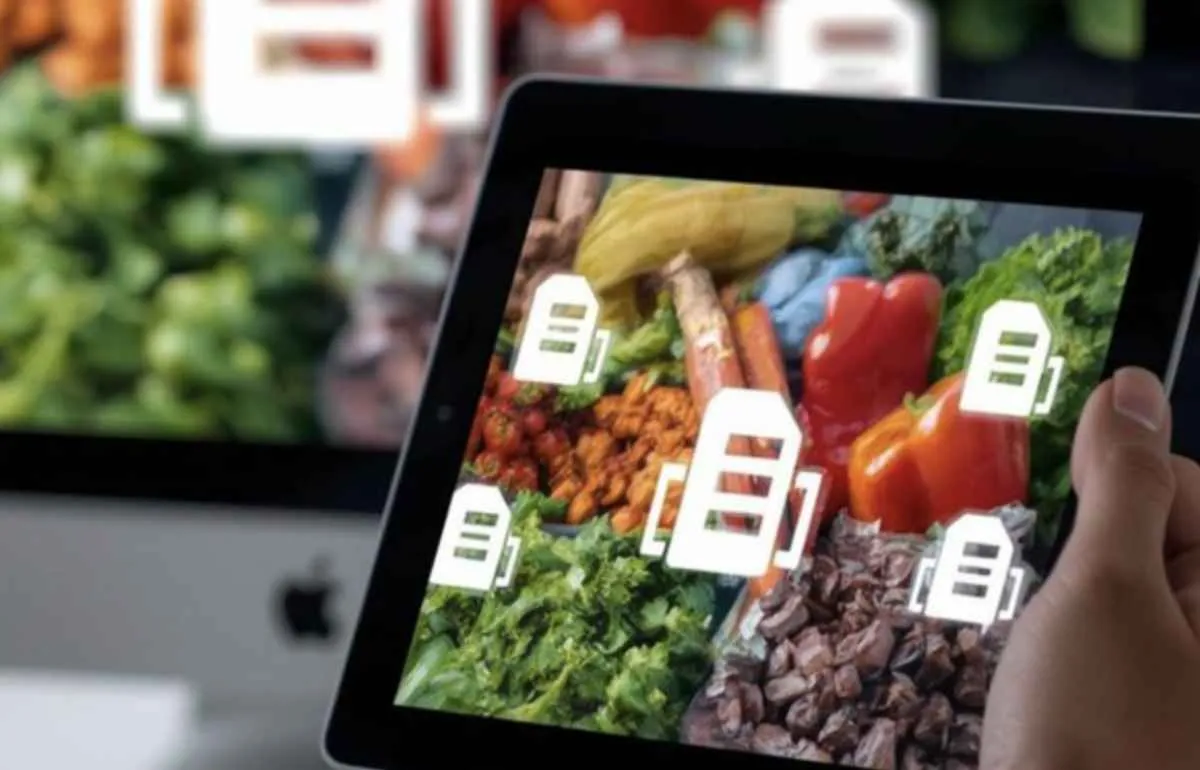 Brasil e Chile digitalizam certificados fitossanitários e reduzem burocracia nas exportações