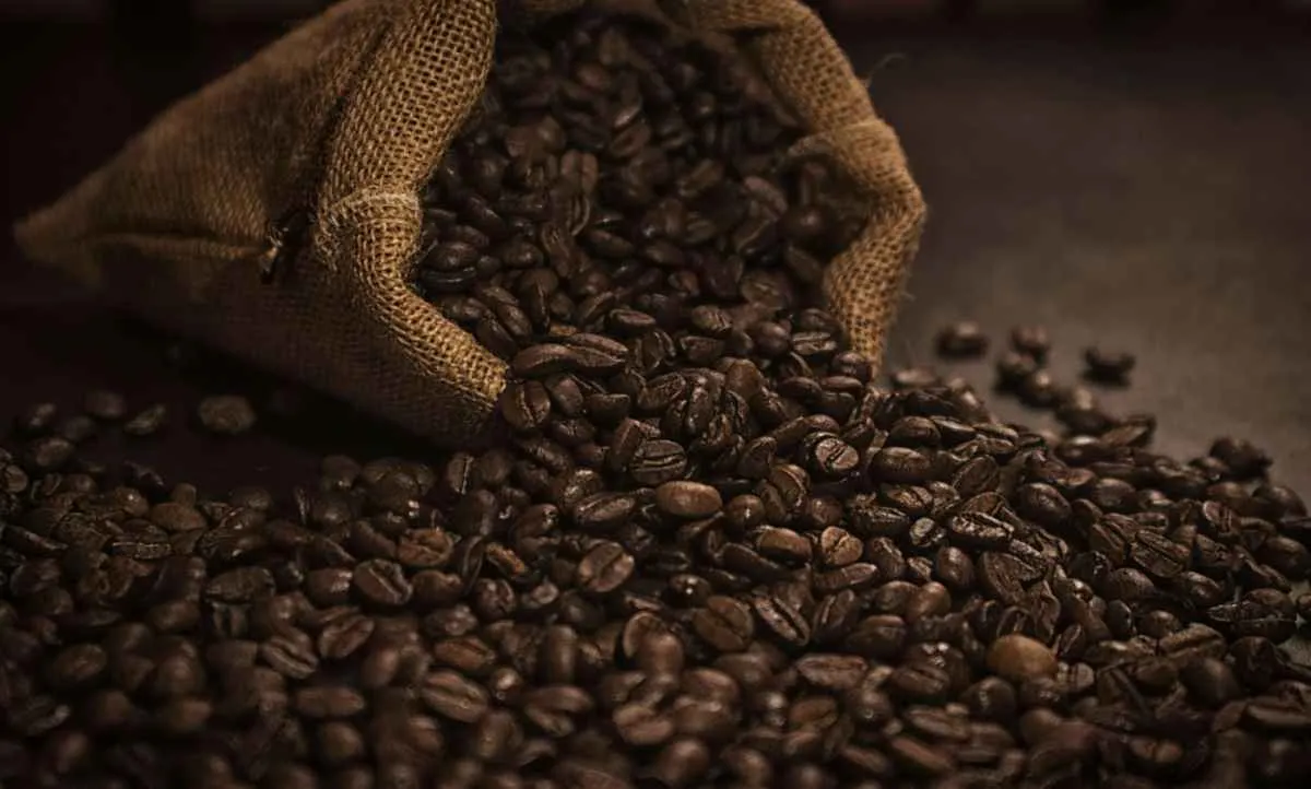 Retirada de tarifas pelos EUA anima exportadores de café