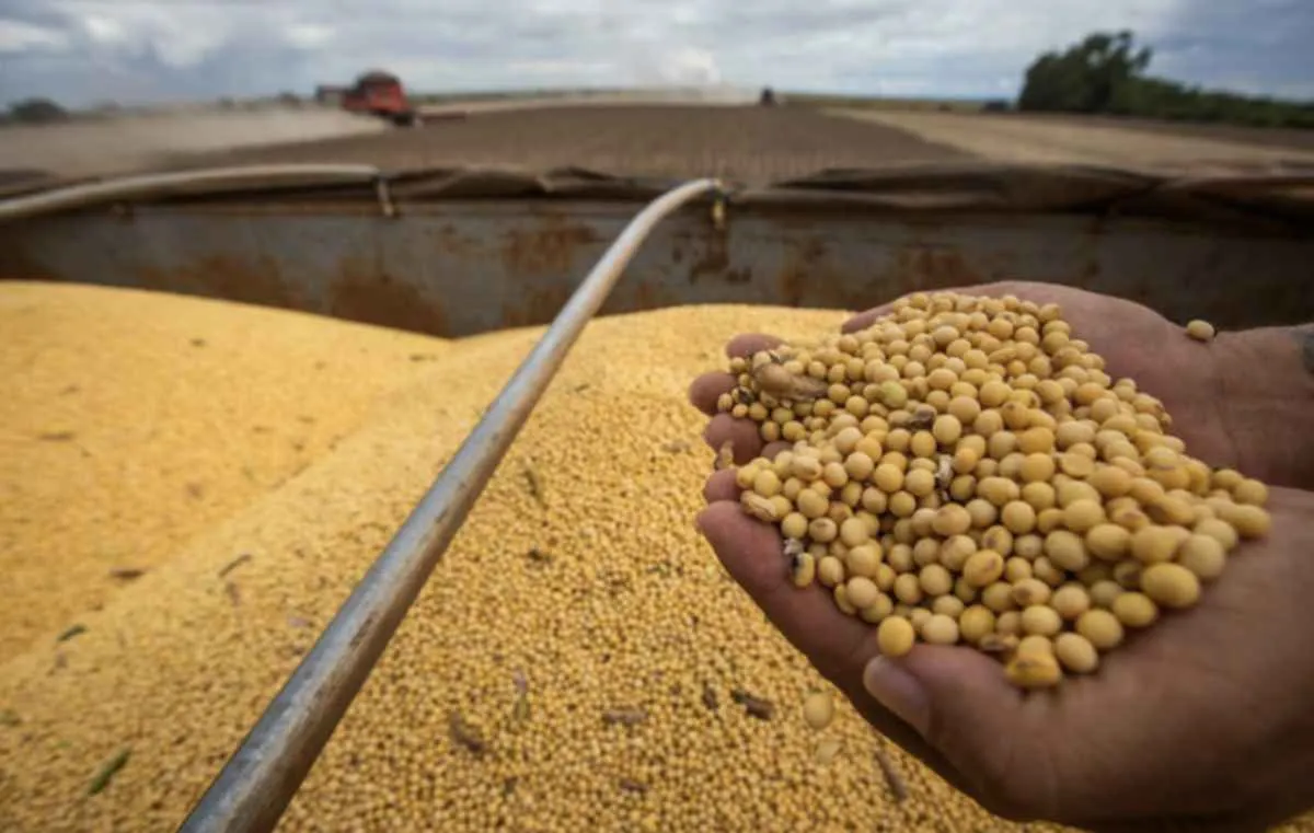 CNA aciona STF contra suspensão de processos sobre a Moratória da Soja