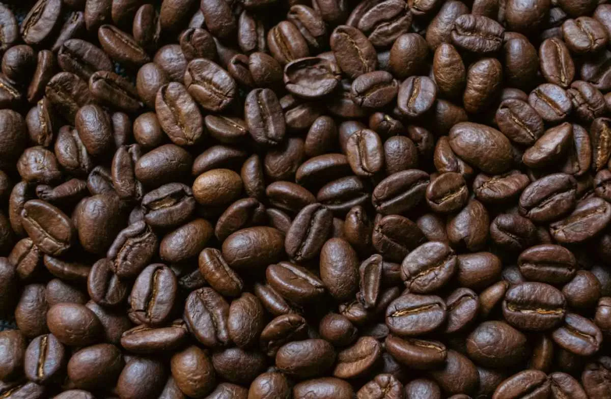 Exportações e clima influenciam alta dos preços do café arábica