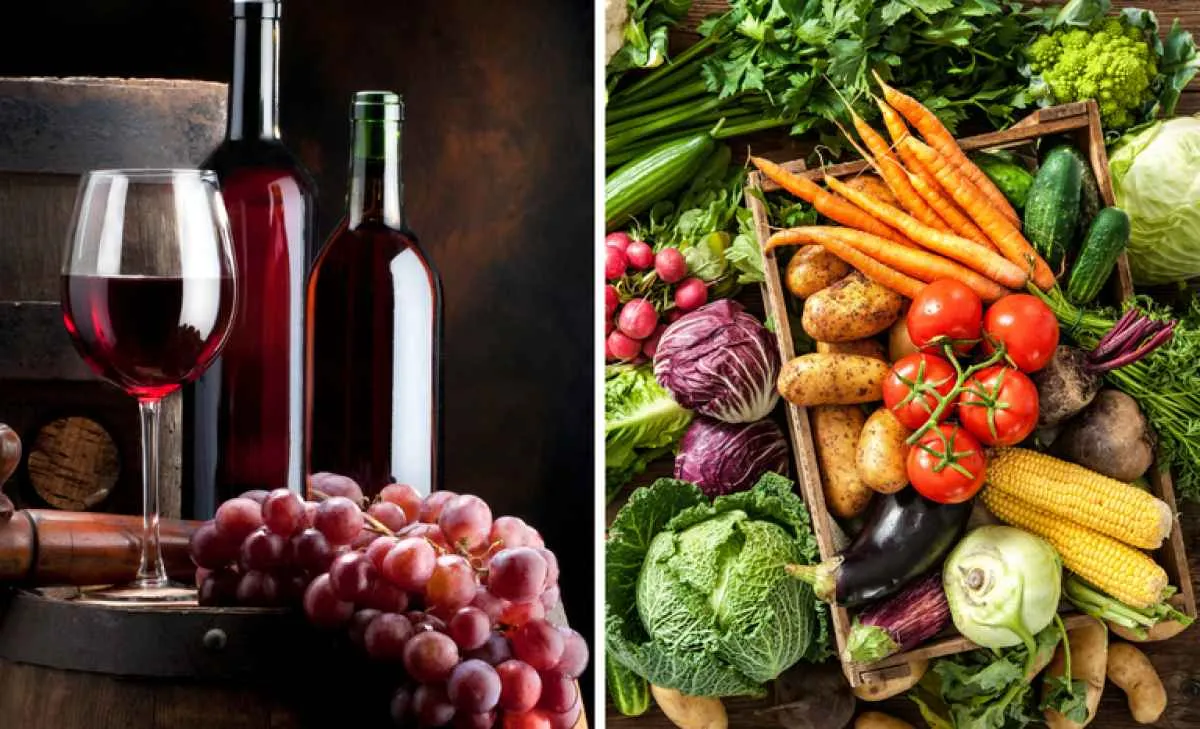 Novo regulamento moderniza fiscalização de produtos vegetais