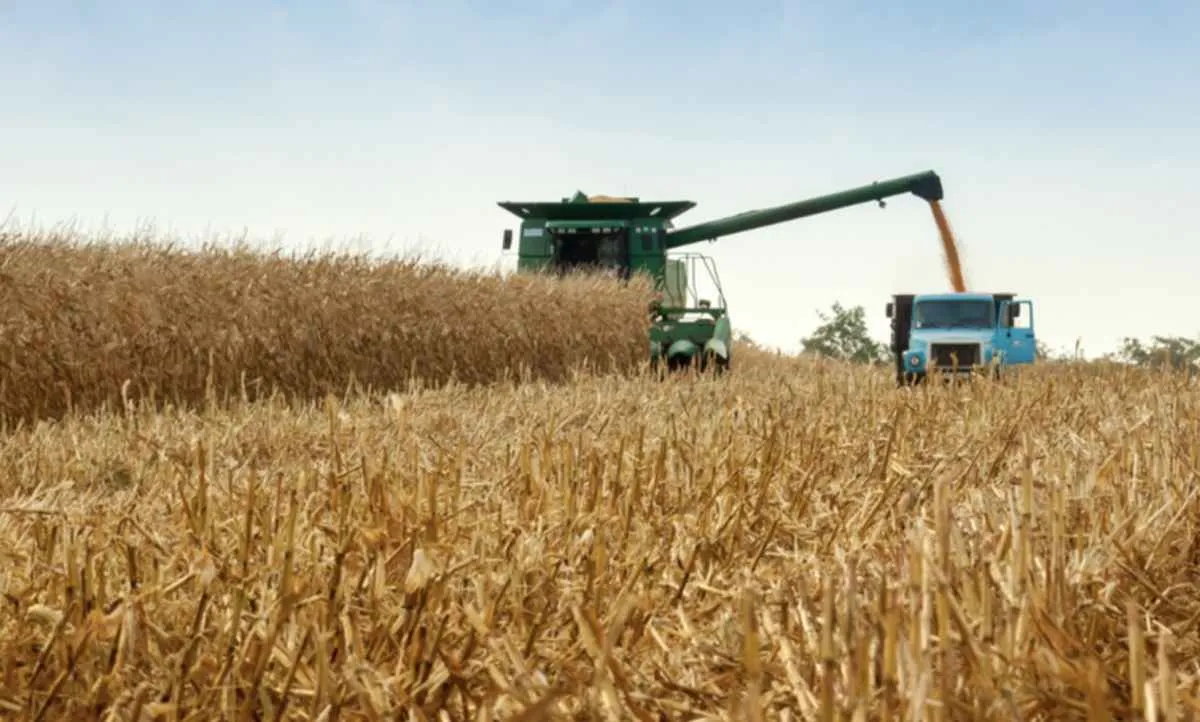 Recursos das Cédulas de Produto Rural crescem 31% entre julho e outubro de 2025