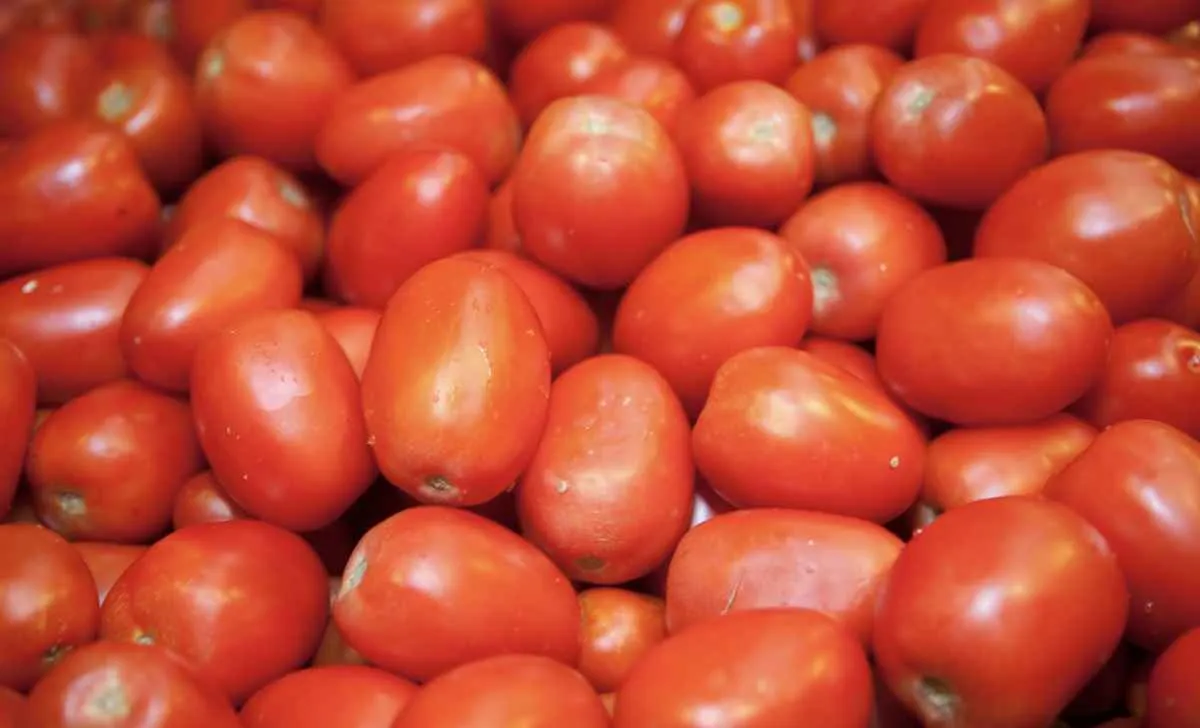 Oferta de tomate varia nos atacados com avanço da safra de inverno