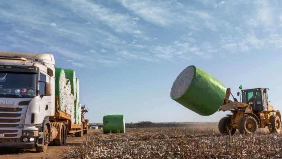 Abrapa e Ampa pedem revisão da tabela de frete rodoviário após início da fiscalização eletrônica