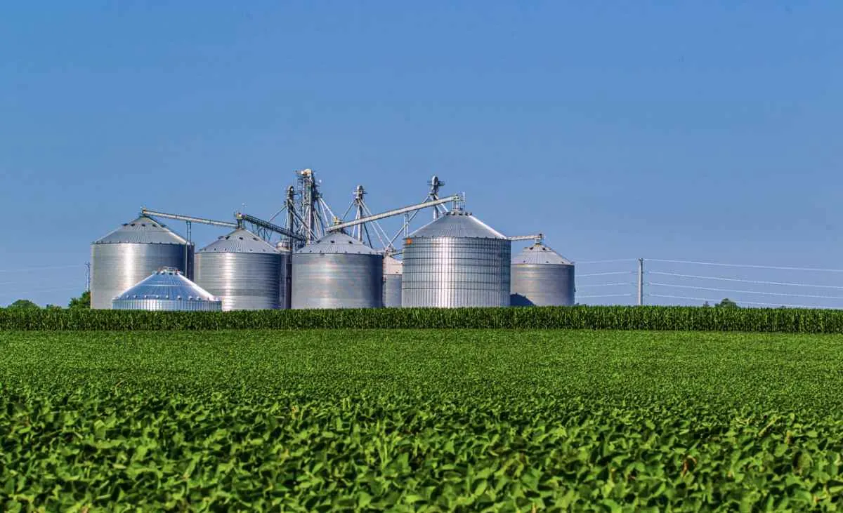 Agroindústria cresce 2,3% em setembro de 2025, aponta FGVAgro