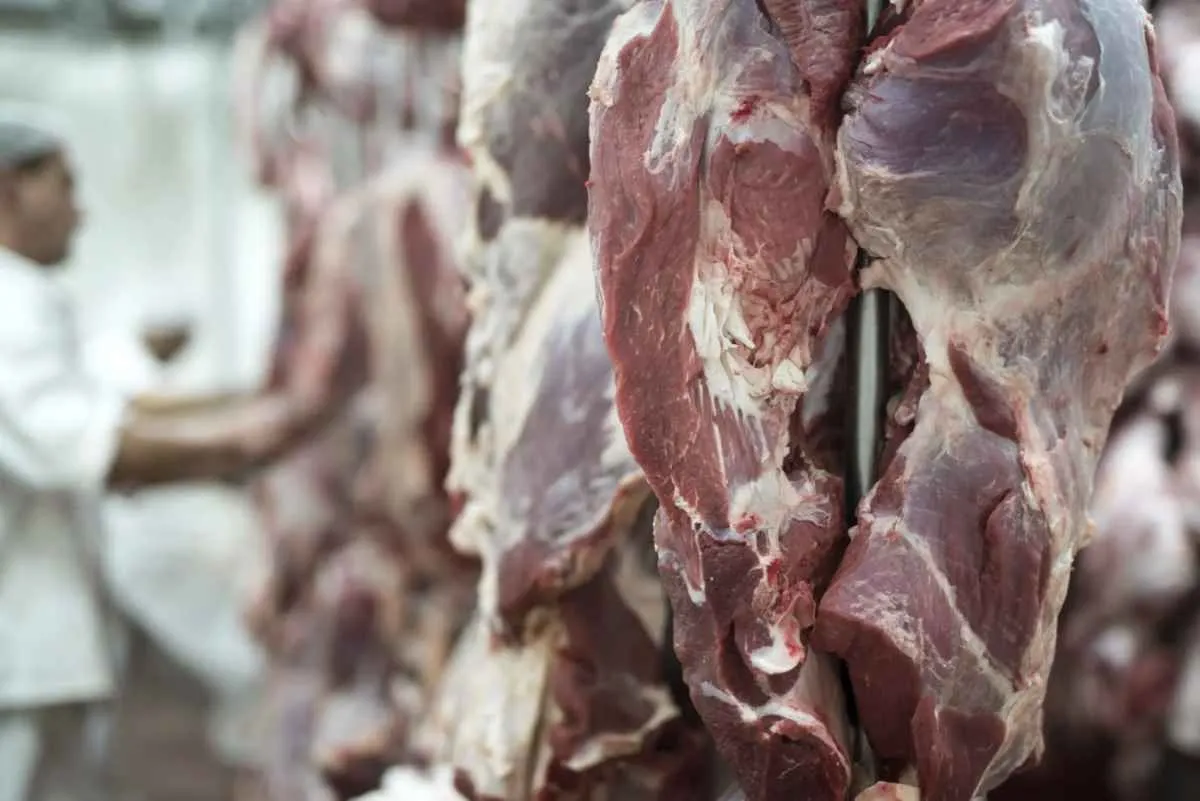 Mato Grosso eleva em 39,4% as vendas de carne bovina para a Ásia