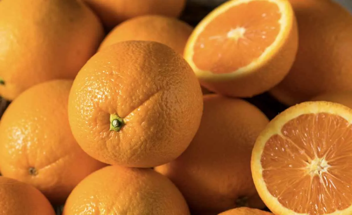 Exportações lentas deixam indústria de suco cautelosa na compra de laranja