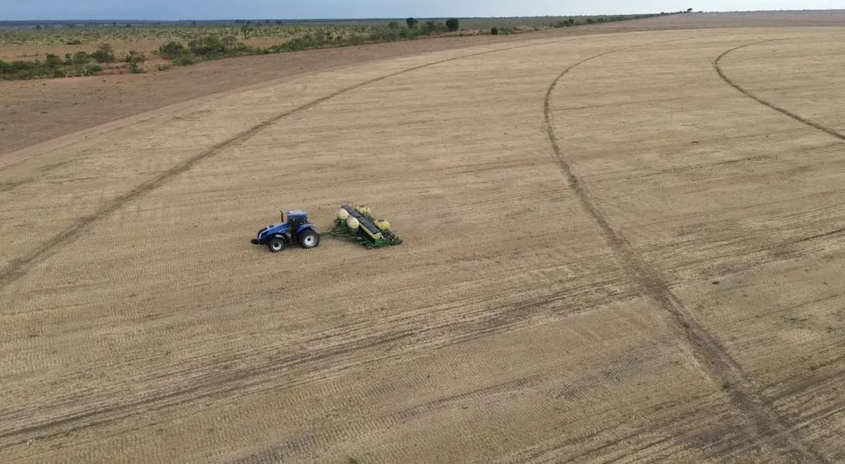 Plantio de soja chega a 2,2 milhões de hectares na Bahia