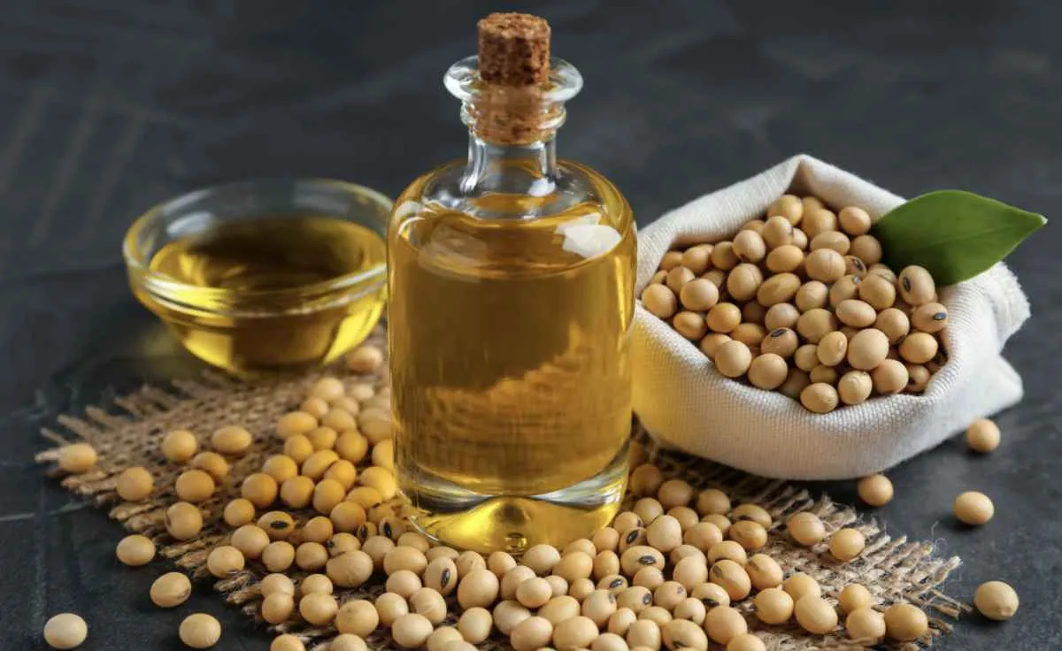 Mudanças no mercado global movimentam a soja e derivados 