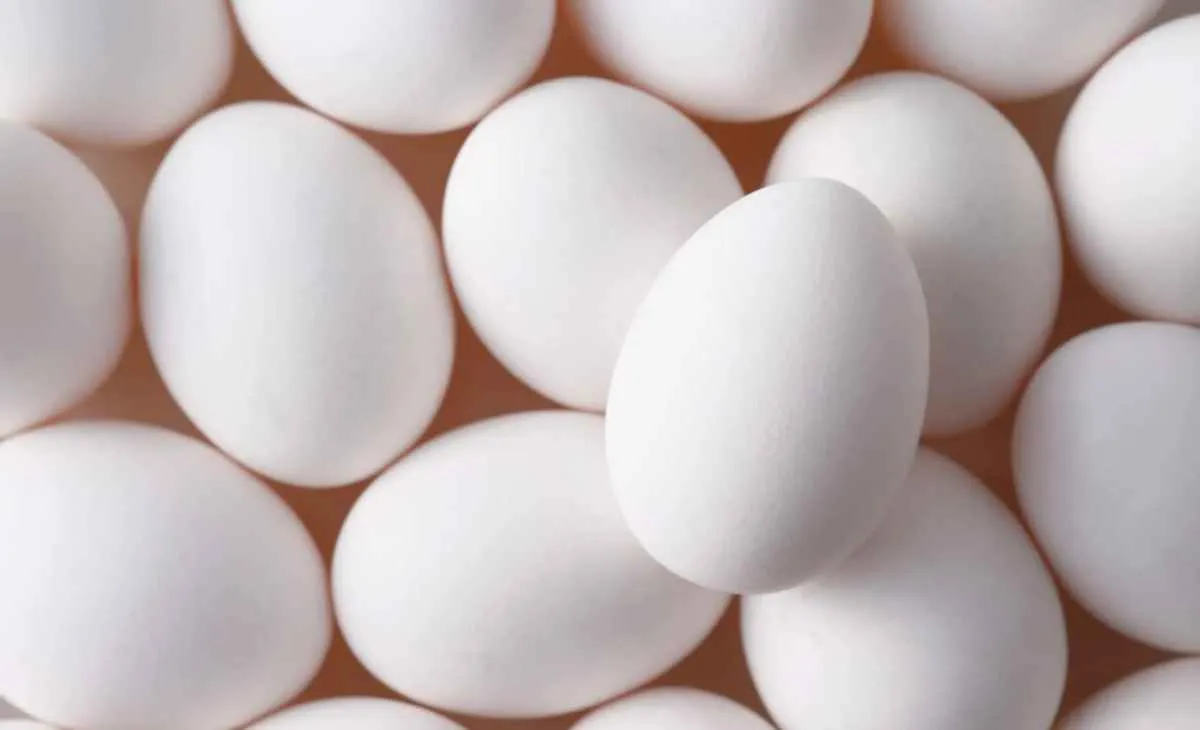 Preços dos ovos são os menores para dezembro desde 2022