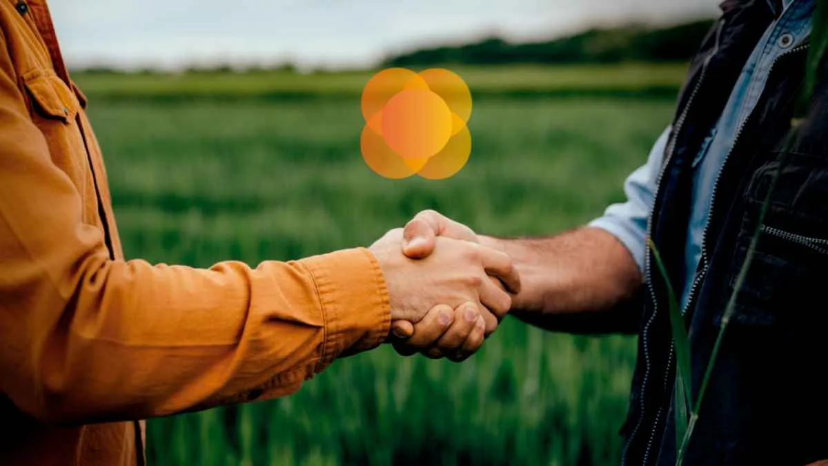 Cresol inicia pagamento de juros sobre o capital social aos cooperados