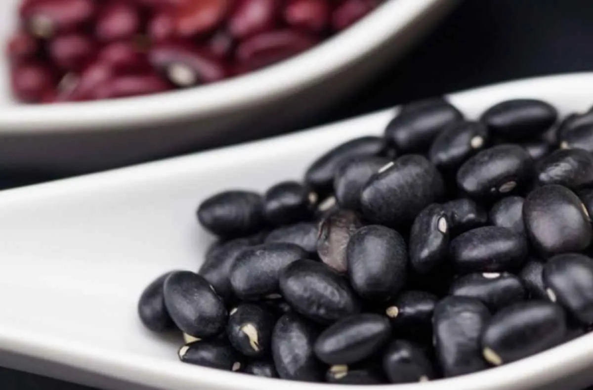 Clima e preços devem reduzir safra de feijão em 2025/26