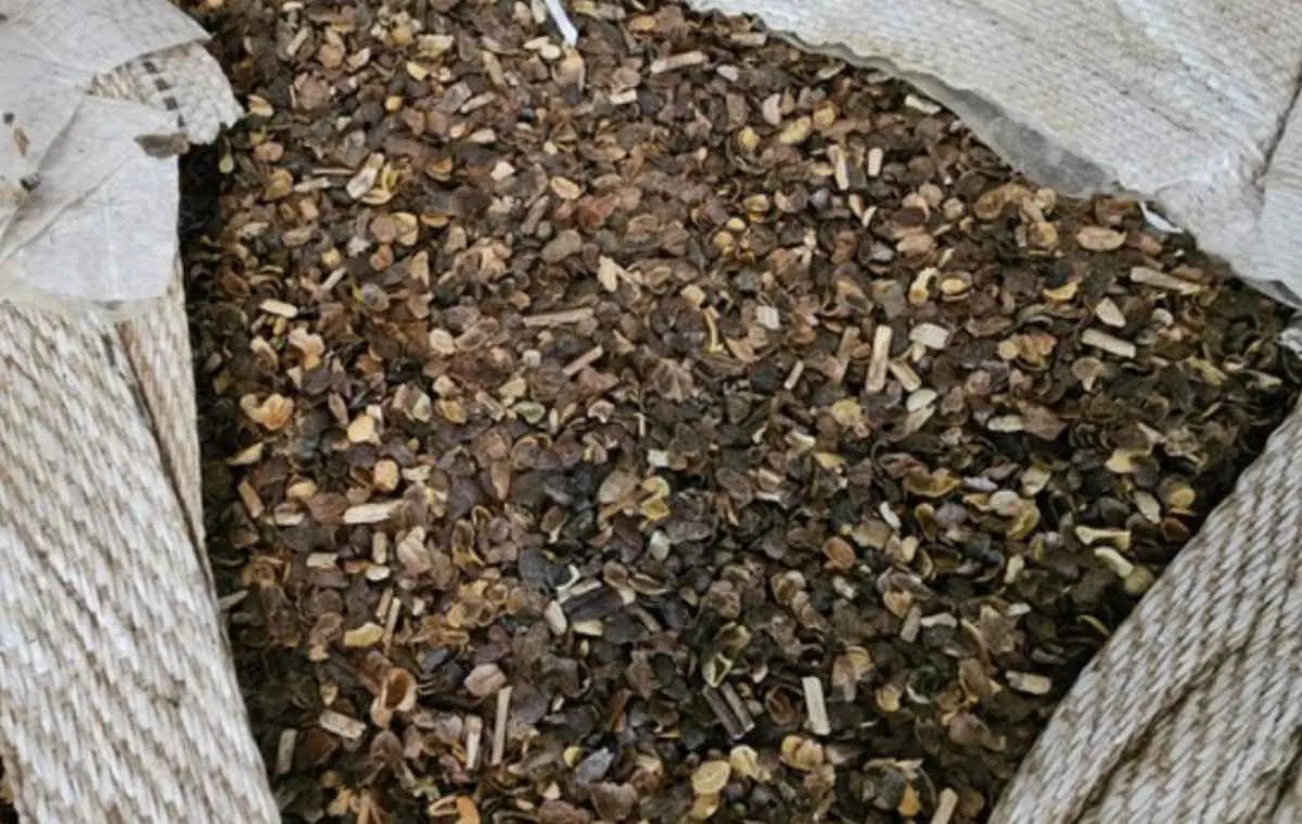 Mapa apreende 21 toneladas de café irregular em Curitiba