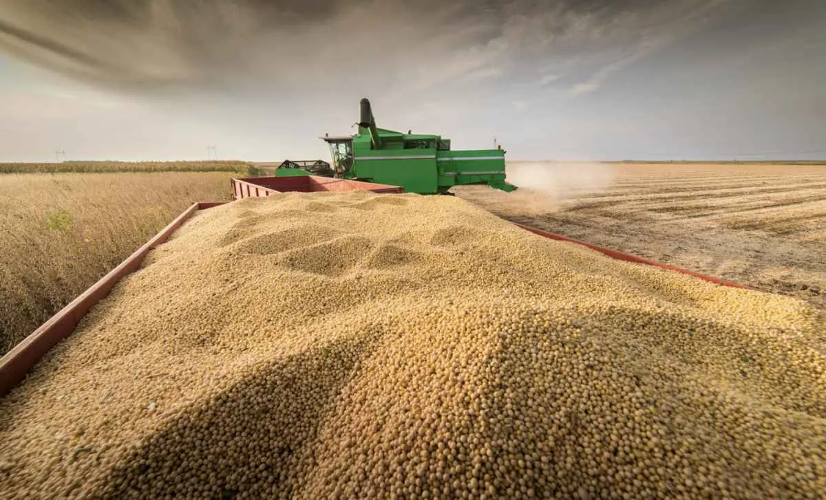 Safra recorde impulsiona soja e milho no mercado externo