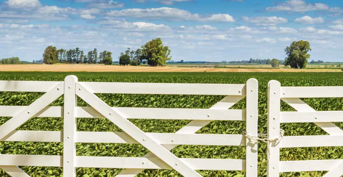 Sistema FAEP comemora medidas que reforçam segurança jurídica no campo