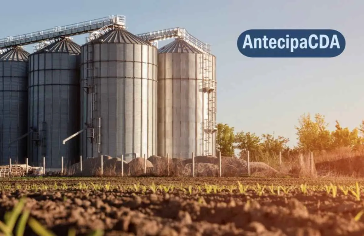 Novo sistema da Conab libera Código do Armazém em até 15 dias