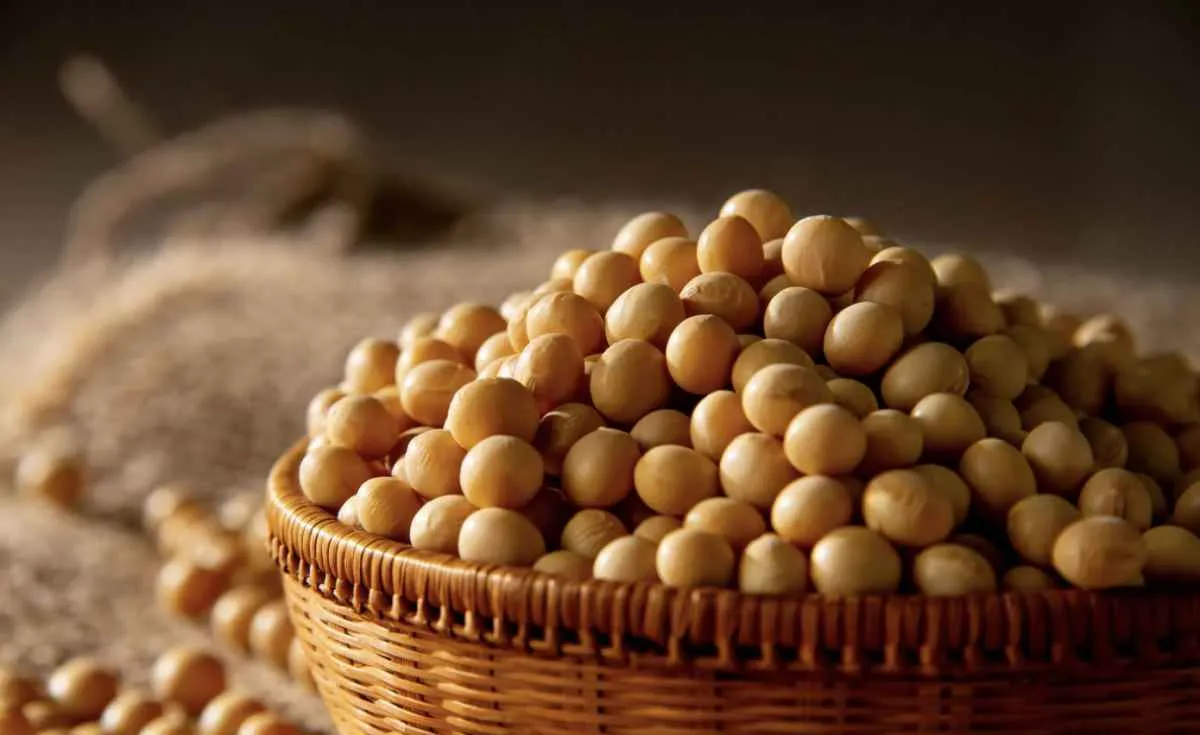 Demanda impulsiona negócios da soja no mercado spot