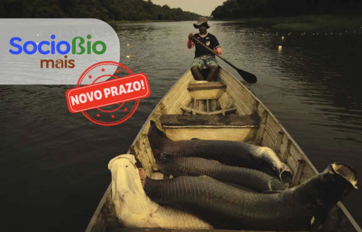 Sociobio Mais prorroga envio de documentação até 16 de janeiro