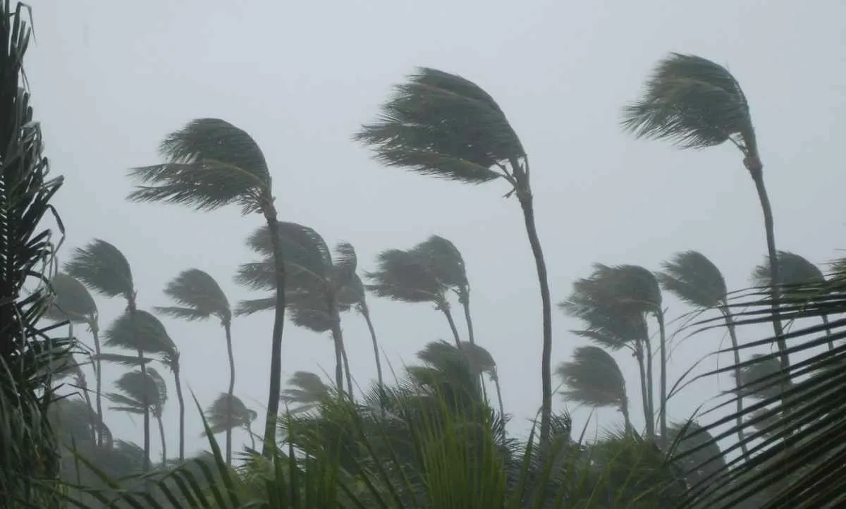 Previsão do tempo para quarta-feira (10/12) no Brasil